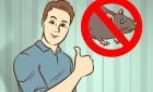 Bật mí 11 cách diệt chuột trong phòng trọ an toàn, hiệu quả