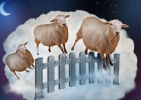 Đếm cừu là gì? 5 bước đếm cừu để đi vào giấc ngủ nhanh nhất bạn nên biết 