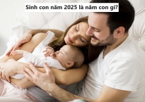 Tất tần tật những điều nên biết khi sinh con năm 2025  