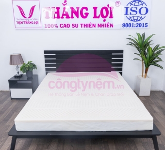 Nệm Cao Su Rosi Massage 1m6 x 2m 10cm