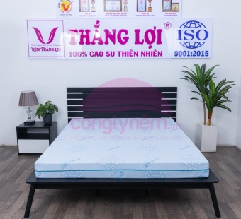 Nệm Cao Su Rosi Massage 1m x 2m 15cm