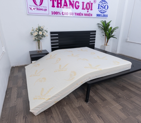 Nệm Cao Su Gold Latex 1m6 x 2m 15cm
