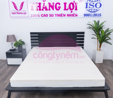 Nệm Cao Su Rosi Massage 1m6 x 2m 10cm