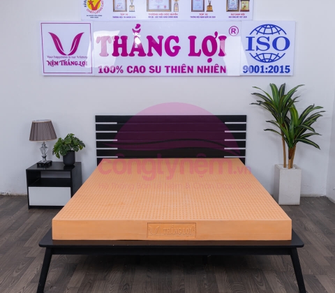 Nệm 100% Cao Su Thắng Lợi SuSu Original 1m6 x 2m 10p
