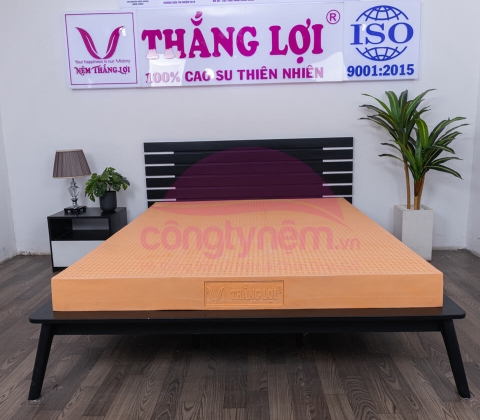 Nệm 100% Cao Su Thắng Lợi SuSu Original 1m8 x 2m 10p