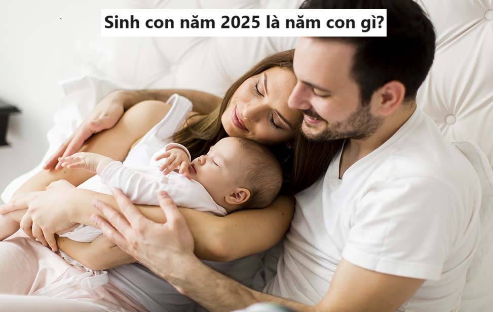 Sinh con cái năm 2025 là năm con cái gì?