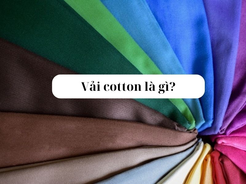 Vải cotton là gì? Thành phần vải cotton