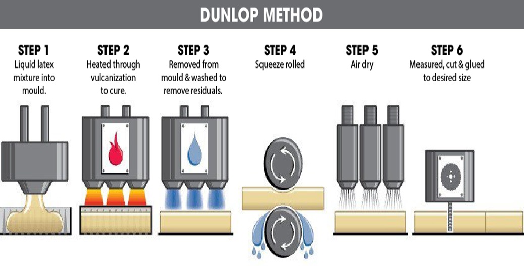 Phương pháp sản xuất nệm cao su Dunlop