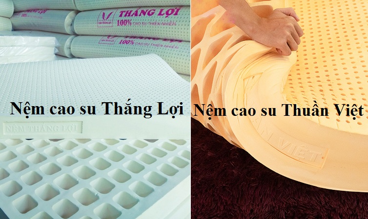 So sánh nệm cao su Thắng Lợi và nệm cao su Thuần Việt